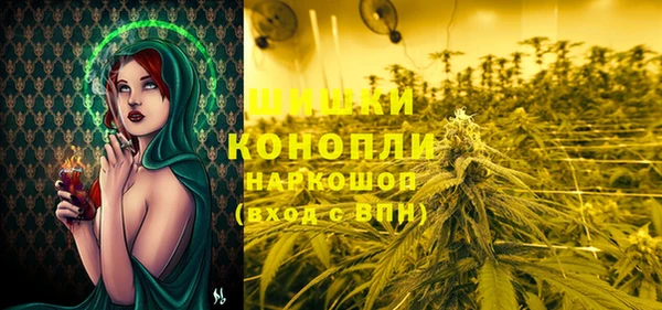 mdpv Кострома