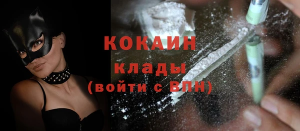 крисы Магадан