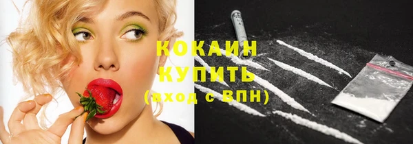 твердый Майский