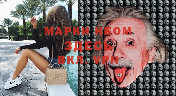 твердый Майский