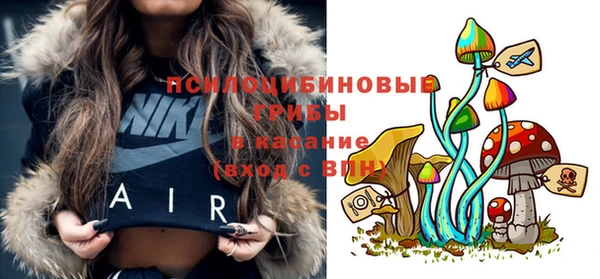 метадон Магас