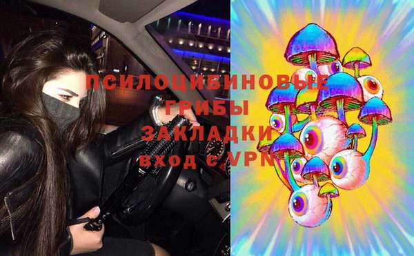 соль ск Вязники