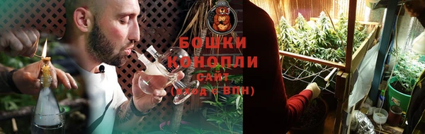 крисы Магадан