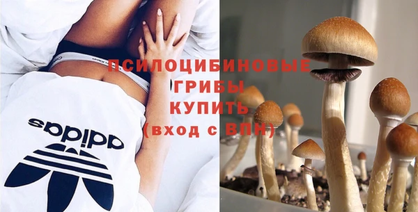 скорость Медвежьегорск