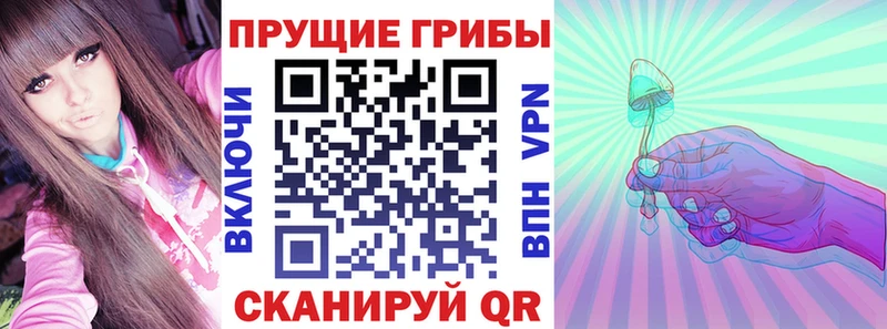 даркнет как зайти Миллерово Псилоцибиновые грибы Magic Shrooms