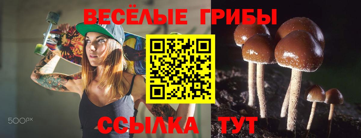 Миллерово  Псилоцибиновые грибы Cubensis  Псилоцибиновые грибы мицелий  Вход с VPN 