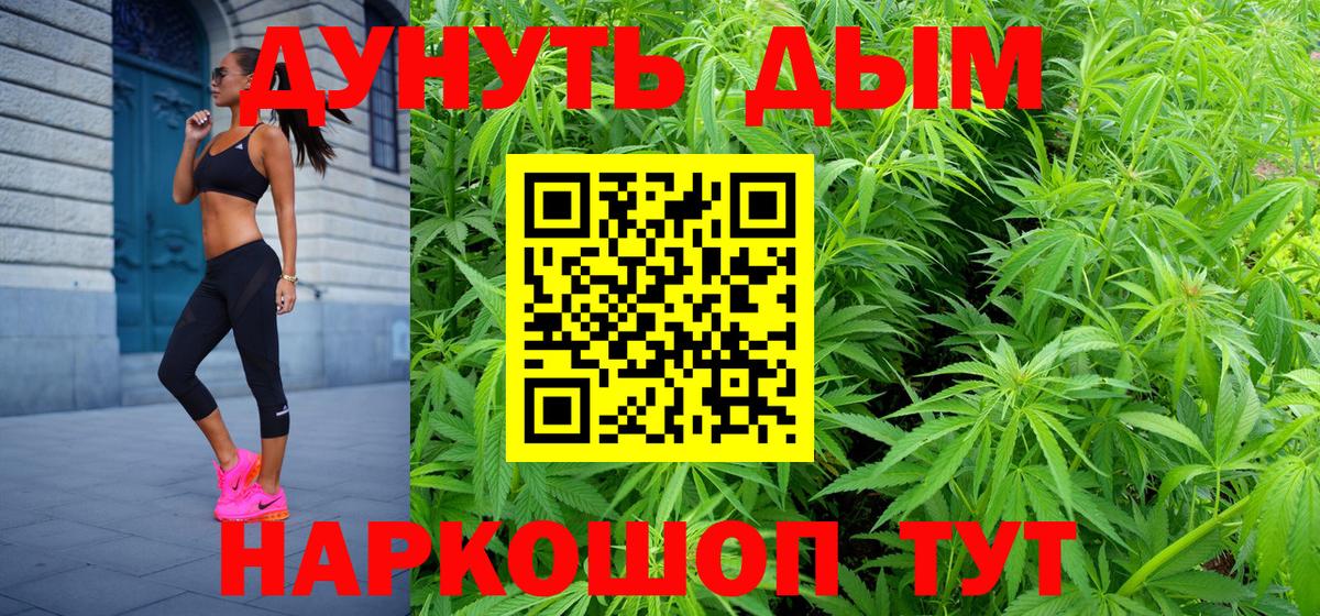 Бошки марихуана сатива  Конопля сатива  Вход с VPN  Бошки марихуана SATIVA & INDICA  Марихуана семена  Миллерово 